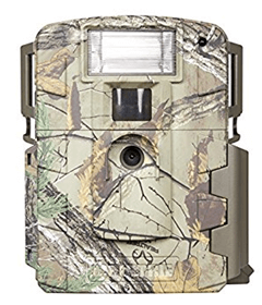 Digital Trap Camera